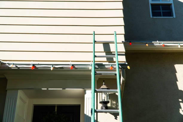 Best Historical Building Siding Restoration  in Wayne City, IL